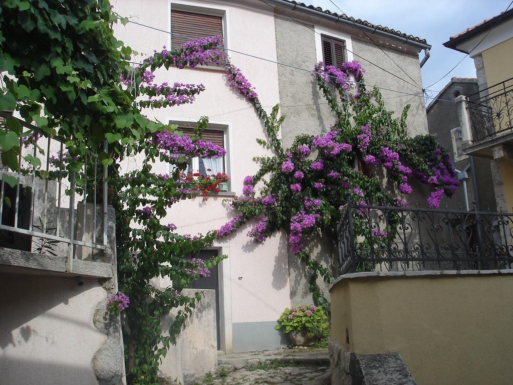 Apartment Merikanic Beli Quarto foto